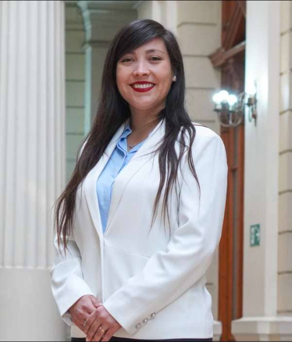 Mariana Acevedo Hormazábal, técnico jurídico